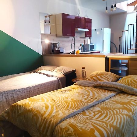 Spacieux Appartement Au Calme 15Min Sud De Lyon Proche Metro Et Gare Confluence Aquarium Gerland Oullins Exteriér fotografie
